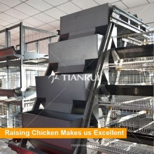 Automatic Poultry Layer Chicken Feeding System for Farm